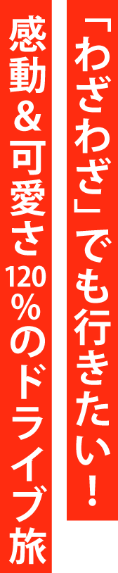 佐世保のクリスマス☆ここにしかないディープな冬旅へ。